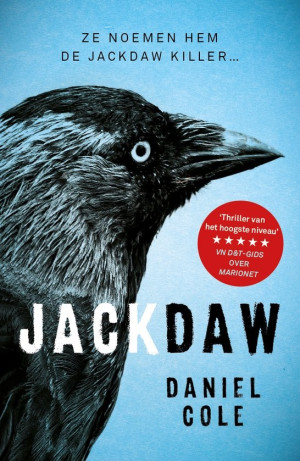 jackdaw